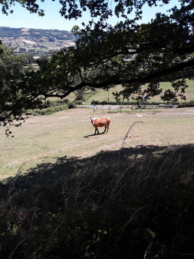 Village.Insolite Montagny-sur-Grosne Zewnętrze zdjęcie